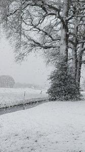 Aria 01 Sneeuw in Voorthuizen